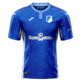 TSG_1899_Hoffenheim_1.png Thumbnail